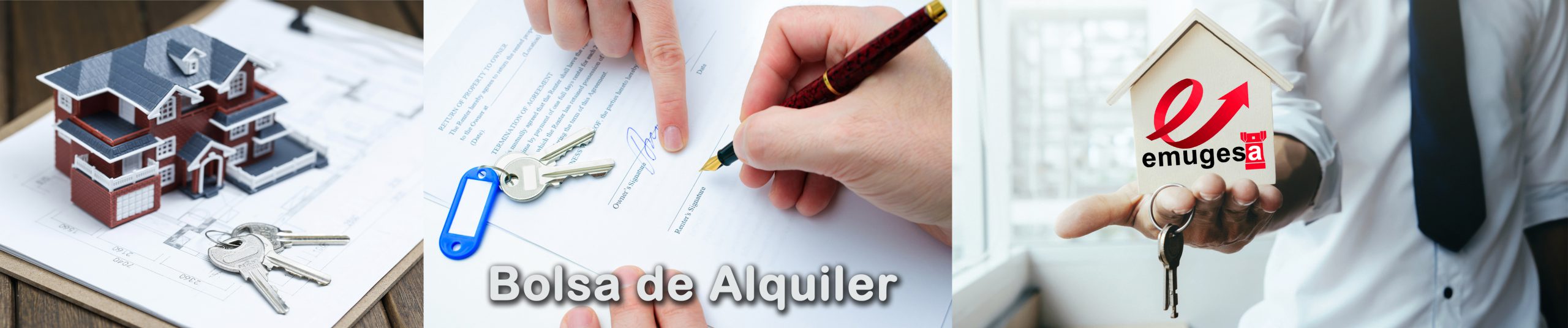 2-ACCESO-BOLSA-ALQUILER-VIVIENDA-2