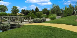 parque-galayos